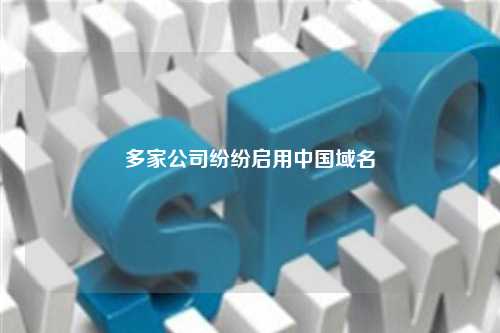 多家公司纷纷启用中国域名