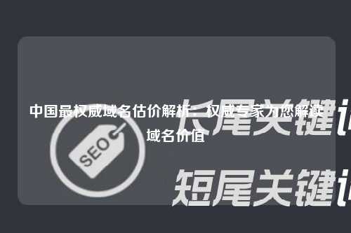 中国最权威域名估价解析：权威专家为您解读域名价值